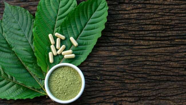 Reasons You Should Check the Quality of Vein Kratom Powder